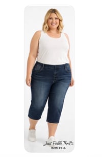 Image 3 of New 4X (28W/40W) Terra & Sky Elastic Waist Denim Jeans #516*1.10