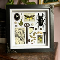 Image 1 of trinket frame #5