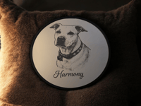Image 2 of Personalized mirror