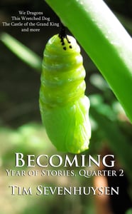 Image of BECOMING - Year of Stories, Quarter 2