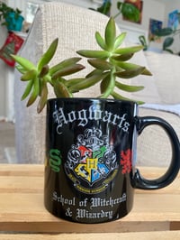 Image 1 of Coppertone Stonecrop in Hogwarts Mug