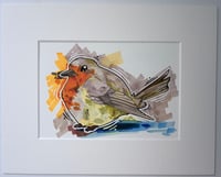 Image 3 of Robin Illustration