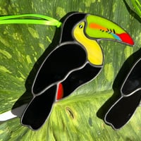 Image 2 of Keel Billed Toucans