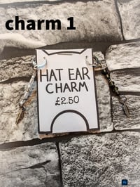 Image 10 of Ed's hats and charms