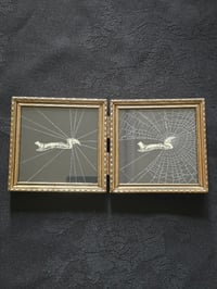 Image 2 of ANTIQUE ANATOMICAL ANIMAL COLLECTION - & Preserved web 4