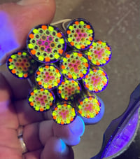 Image 2 of Uv opal glass tips