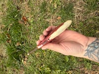 Image 6 of Trout -SECONDS