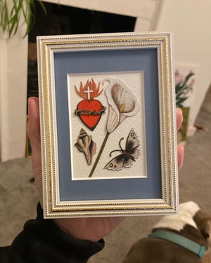 Image of Shell Framed Original