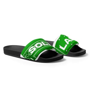 Image of Green Paisley Slides