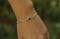 Image of Boulder Opal Armband