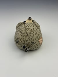 Image 3 of Nosey Nancy 