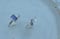 Image of lila Opal Ring No 1