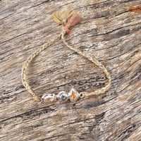 Image 1 of Silver Salad 02