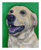 Image of Yellow Lab print