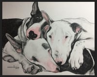 Image 5 of Graphite / Watercolor Pet Portrait