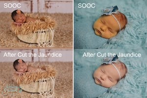 Image of PS CS2-CC : Cut the Jaundice Action © Son Kissed Photography