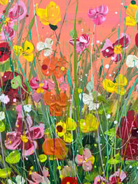 Image 3 of Coral Sky over the Meadow