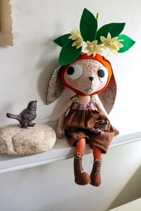 Image 6 of Clementine Blossom Kitty 