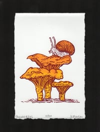 Image 2 of Snail & Chanterelles