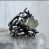 Image 1 of Ring of Thorns