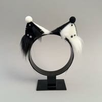 Image 1 of Monochrome Clown Kitten
