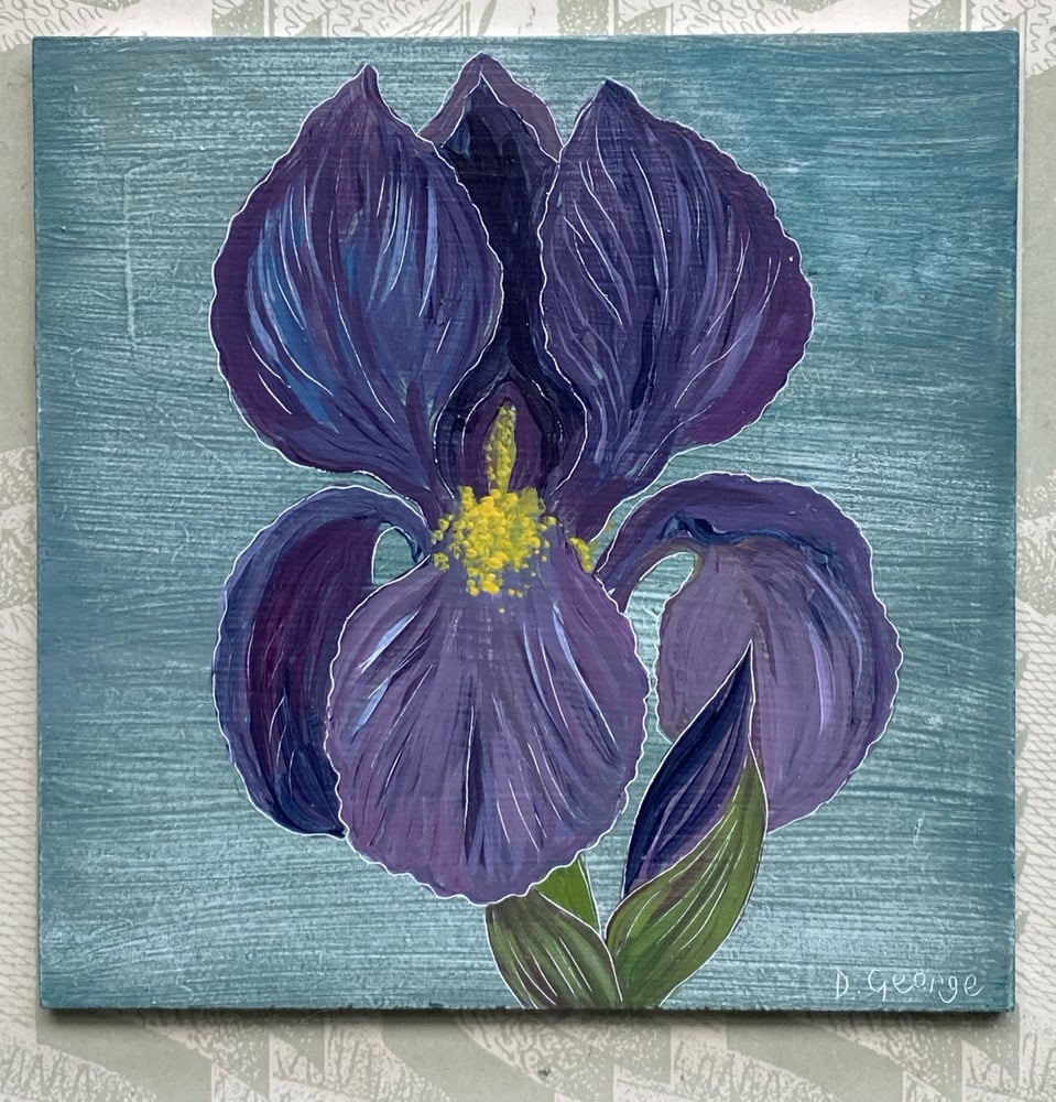 Image of Iris (A)