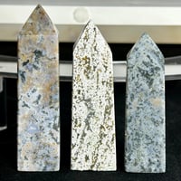 Image 3 of Ocean Jasper Towers