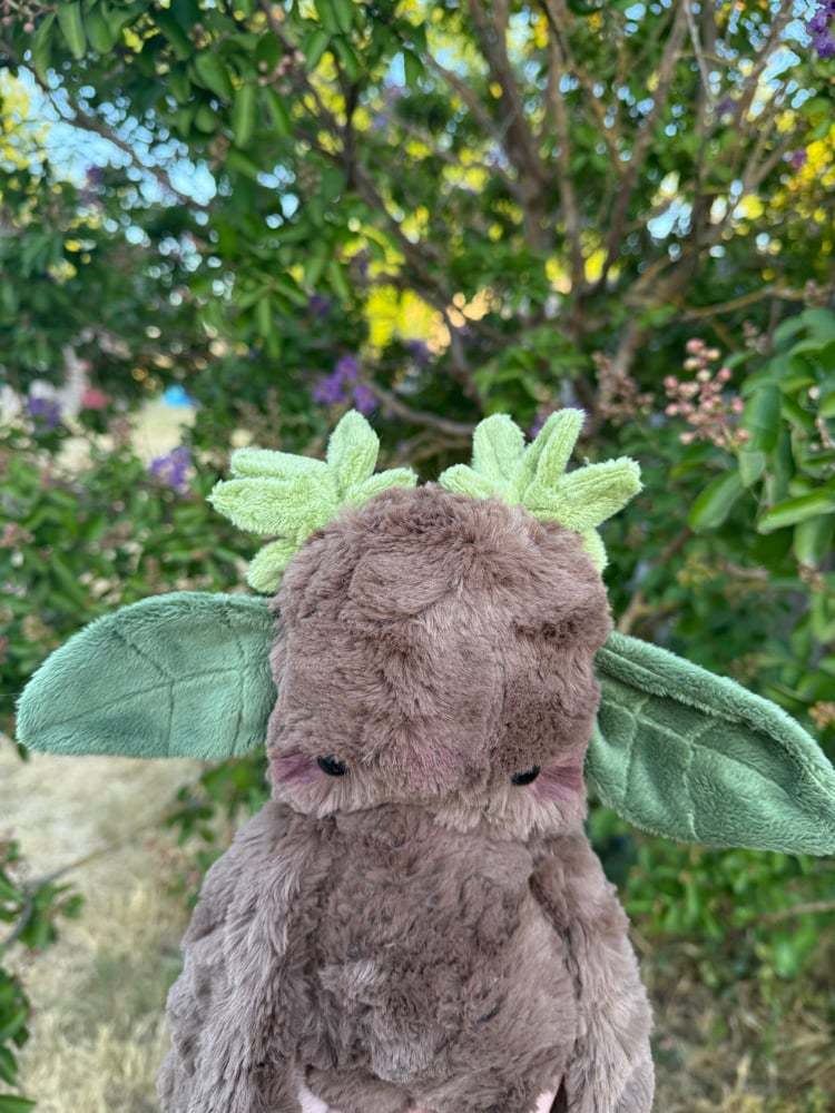 Image of leafy dweller
