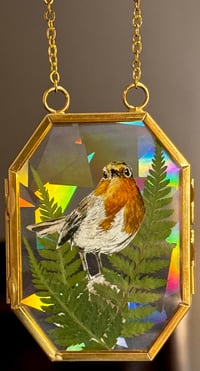 Image 3 of Robin
