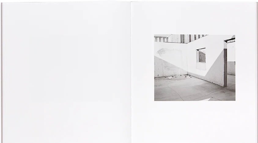 Susan Lipper - Domesticated Land (Signed)