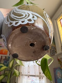 Image 3 of Golden Pothos in Funky Vase