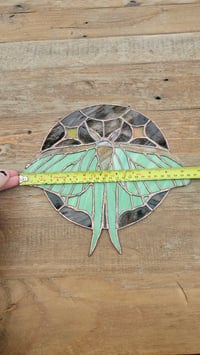 Image 5 of Luna moth