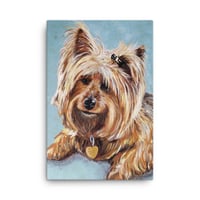 Image 1 of Yorkie Princess