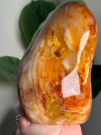 Image 8 of XL ORBICULAR CARNELIAN FREEFORM -MADAGASCAR-