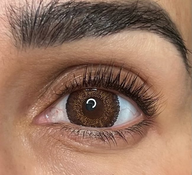 3-Tone Brown