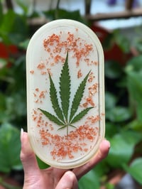 Image 1 of Maryjane Tray 