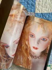 Image 5 of Trembling Eyelids, Koizukihime, 2000.