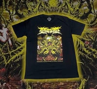 Image 1 of Ingested