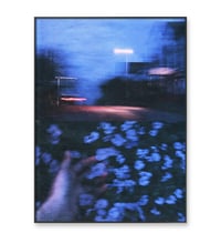 Image 3 of BLUE NIGHT, FLOWERS