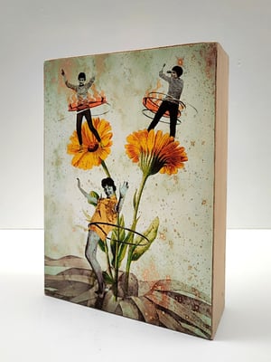 Image of Fiesta del polen.