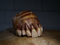 Image 1 of Dental Snull sculpture- blonde bone color, OOAK