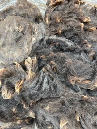 Image 1 of #24 Raw Harting Black Fleece - Mixed Colour