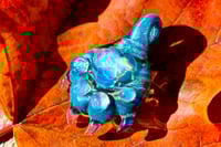 Image 1 of Ocean Paw #2