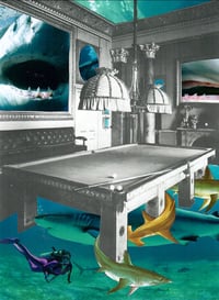 Image 2 of Pool sharks (A4 print)