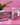 Lip Blush Kits