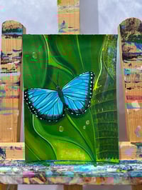 Image 5 of “Blue Morpho”