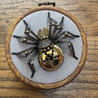 Image 4 of Jingle spider (c, 3.5 inches)