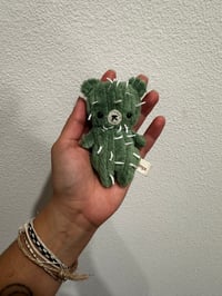 Tiny Cactus Bear