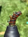 Image of Dragon Ball Z Mouthpiece 