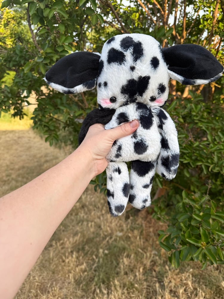 Image of spotty baby